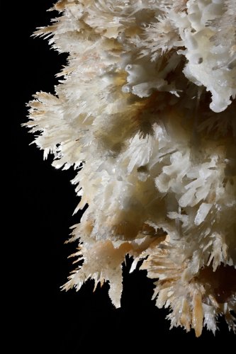 Grotte de Limousis (Aude) - Le lustre (détail d'aguilles d'aragonite)(SP-21-0839)